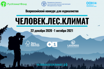 Продлены сроки конкурса для журналистов «Человек.Лес.Климат»